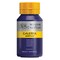 Winsor & Newton Galeria Flow Acrylics - Winsor Violet, 500 ml tube